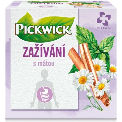 Pickwick Herbalis Trávenie s extra silnou mätou 10 x 2 g
