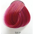 Barvy na vlasy La Riché Directions 01 Tulip 89 ml