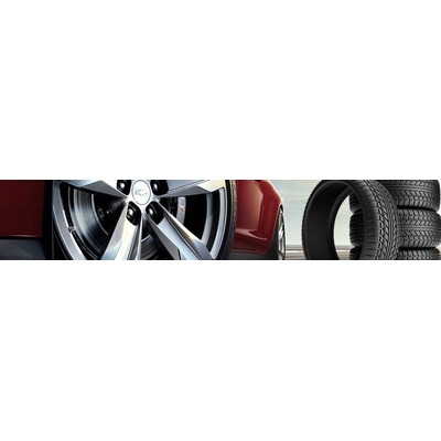 Michelin Pilot Exalto 205/80 R16 104T