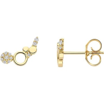 Blush Златни дамски обеци Blush 7377YZI (7377YZI)