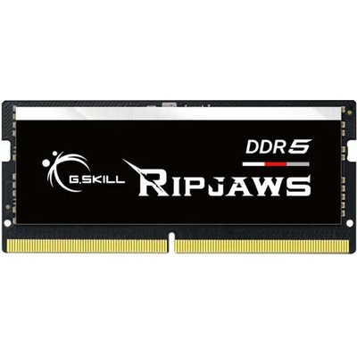 G.SKILL 16GB DDR5 4800MHz F5-4800S4039A16GX1-RS
