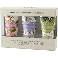 The Somerset Toiletry Aromas Artesanales de Antigua Rose Petal krém na ruce 20 ml + Lily of the valley krém na ruce 20 ml + Lavender krém na ruce 20 ml dárková sada