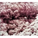 Into the Great Wide Yonder Trentemøller CD