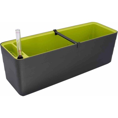 Plastia truhlík Berberis sivý + zelený 80 cm