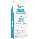 Brit Care Grain-Free Junior Large Breed salmon & potato 12 kg