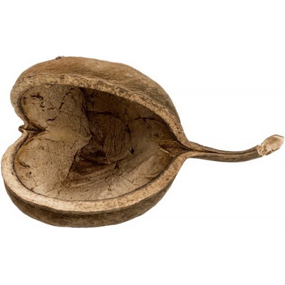 Svazek sušených bobulek zápich 10 cm - zlatý