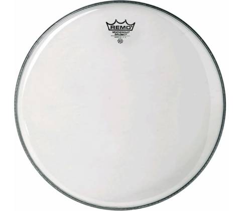 Remo Diplomat Clear 10"