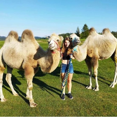 Cameltreking - procházka s velbloudem a krmením v Krkonoších pro 2 osoby