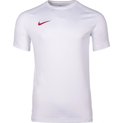 Nike Dri-FIT Park VIII hv8173-103