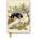 Flame Tree Publishing British Library: Alice Asleep, from Alice's Adventures in Wonderland (Foiled Journal) | Flame Tree Studio