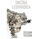 Snežná leopardica