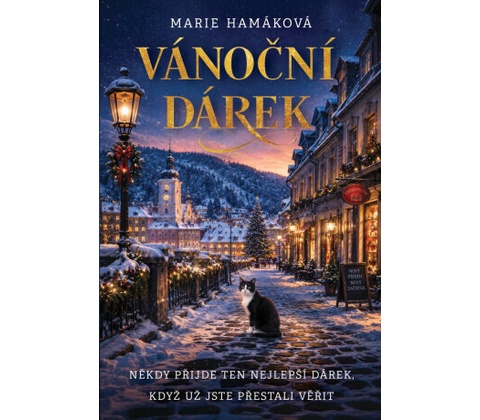 Vánoční dárek