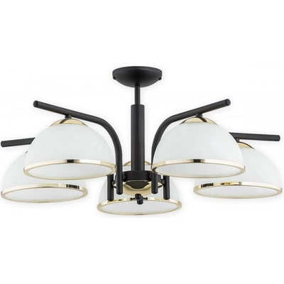 Lemir O2925 W5 CZA + CH