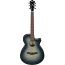 Ibanez AEG50