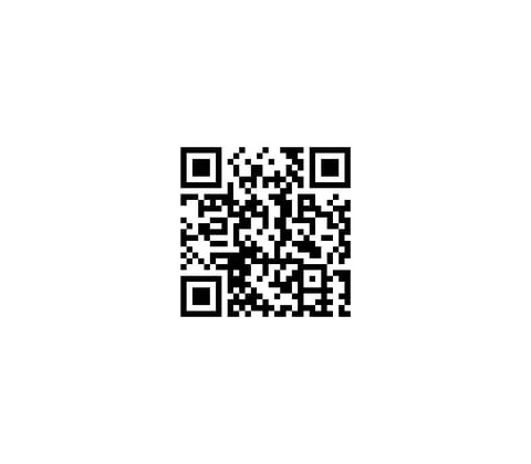ASCII Attack
