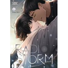 Radio Storm, Vol. 4 - S a S, Team Team a Toppy, Toppy