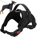 MG Harness postroj pre psov
