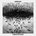 HARMS WAY - COMMON SUFFERING CD