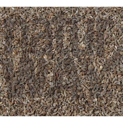 Bylinná lékárna Anýz Anisi fructus 100 g