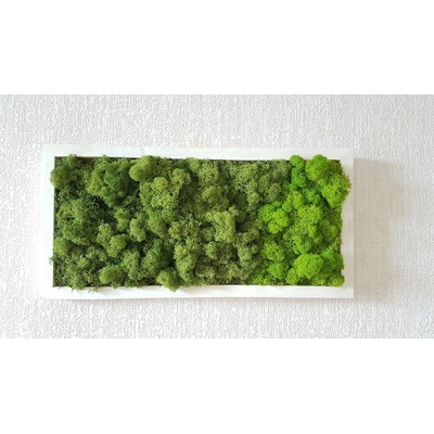Dvoubarevný mechový obraz 20cm x 40cm