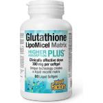 Natural Factors Glutathione LipoMicel Matrix - Глутатион с висока абсорбция (мощен антиоксидант), 300 mg, 60 софтгел капсули Natural Factors (2819 NF)