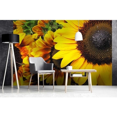 Dimex MS-5-0130 vliesová fototapeta na zeď Slunečnice rozměry 375 x 250 cm
