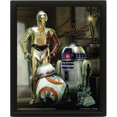 Obraz 3D Star Wars Droids