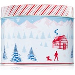 DW HOME Scene & Stripes Peppermint Bark ароматна свещ 833 гр