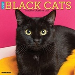 Wlcp Black Cats 2027 12 X 12 Wall Calendar | Willow Creek Press