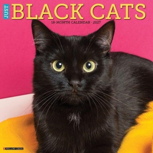 Wlcp Black Cats 2027 12 X 12 Wall Calendar | Willow Creek Press