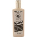 Gottlieb s norkovým olejom Apricot 300 ml