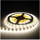T-LED 07106