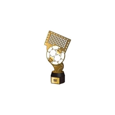 Poháry Bauer Dřevěná trofej ACTCWR031 Futsal