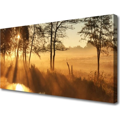 Obraz na plátně Stromy Příroda 100x50 cm