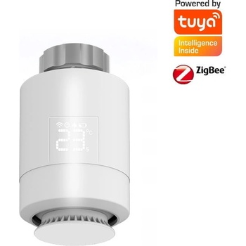 ZigBee Tuya