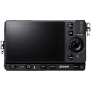 Image 1 of Sigma FP Body