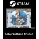 Labyrinthine Dreams