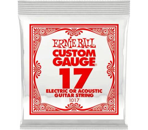 ERNIE BALL 1017