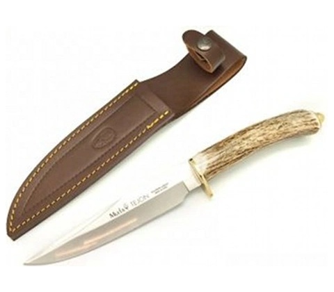 Muela Tejon 16