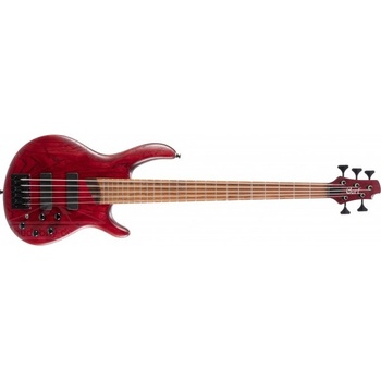 Cort B5 Element