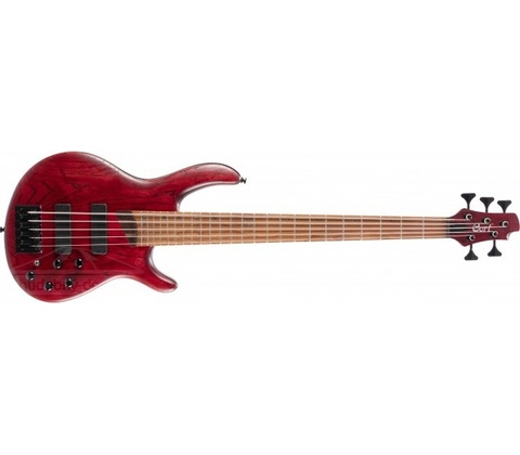 Cort B5 Element