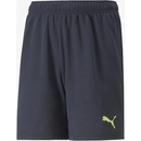 PUMA INDIVIDUALRISE shorts jr 65899903 černá