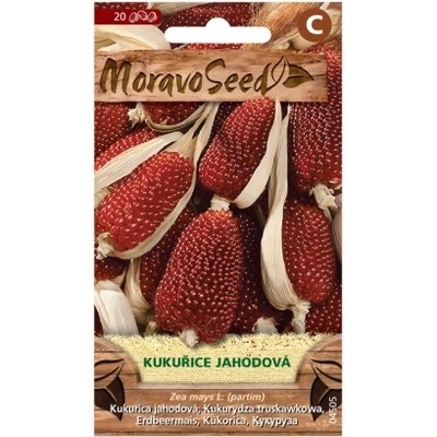 MORAVOSEED Kukuřice jahodová