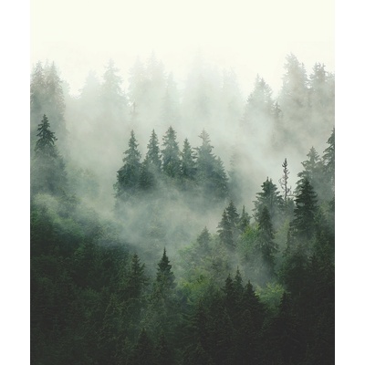 AG Design FT-3P5903 Vliesová fototapeta WOOD MAGIC, rozměry 225 x 270 cm