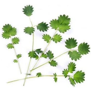 VÉritable (Франция) Пълнител (лингот) Salad Burnet Organic за настолна градина Véritable® - салата Бърнет (VLIN-O10-Pim025)