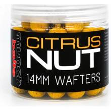 Munch Baits Citrus Nut Wafters 200ml 14mm