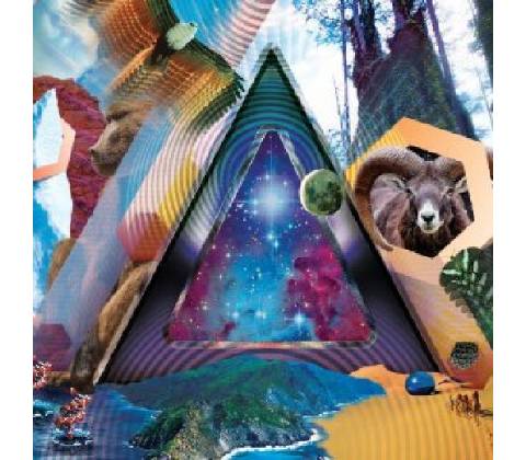 311 - Universal Pulse CD