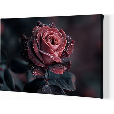 Obraz na plátně - Růže, radostné opojení FeelHappy.cz Velikost obrazu (šířka x výška): 40 x 30 cm