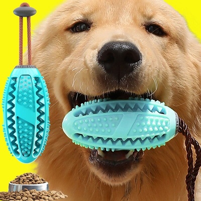 Pet Interest Дентална играчка за куче PET INTEREST Hanging Dog Toothbrush (41286)