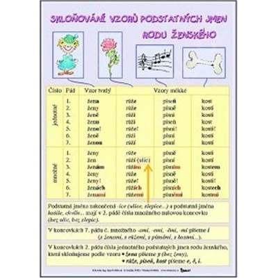Skloňování vzorů podstatných jmen rodu ženského / Skloňování vzorů podstatných jmen rodu středního karta